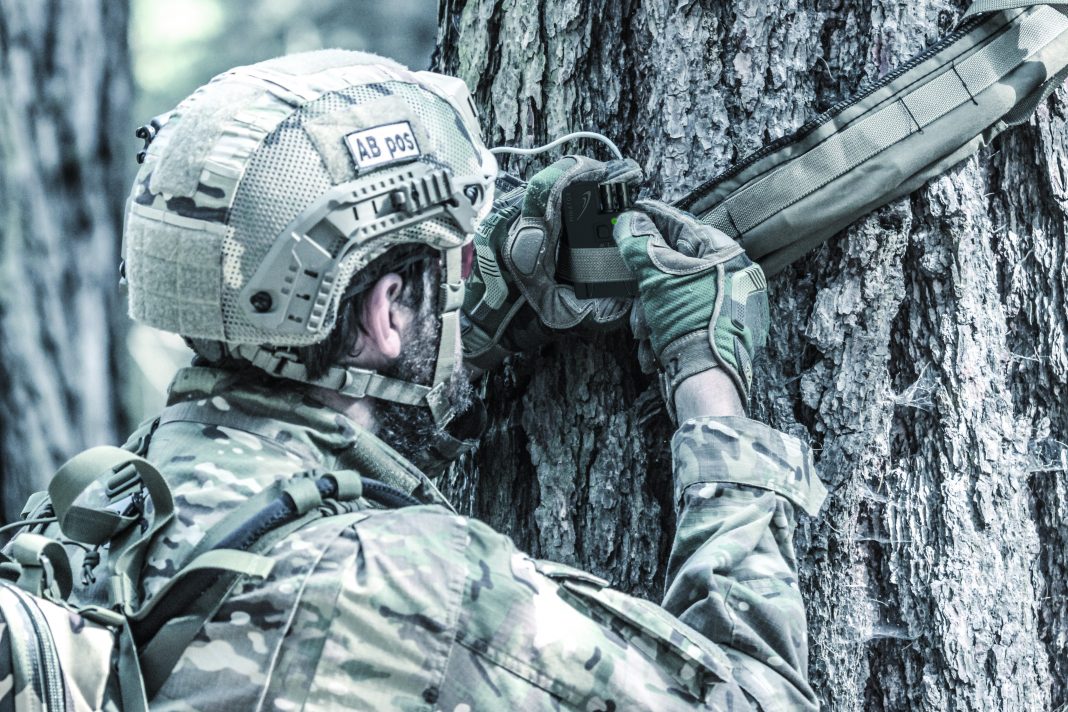 Minator Abatis_detail